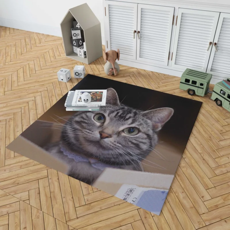 Cat Curious Stare Rug 1