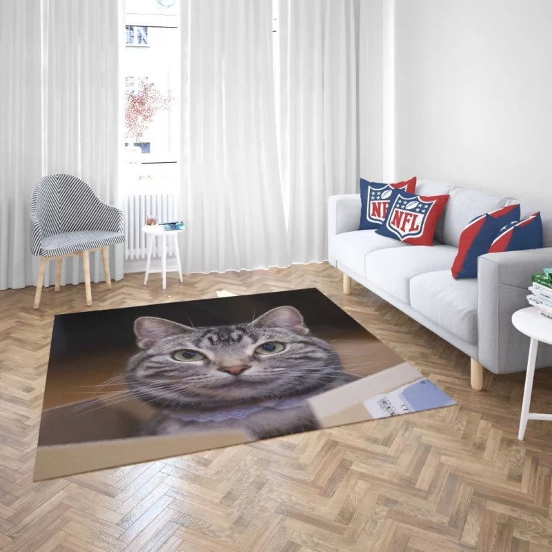 Cat Curious Stare Rug 2