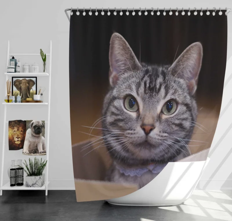 Cat Curious Stare Shower Curtain