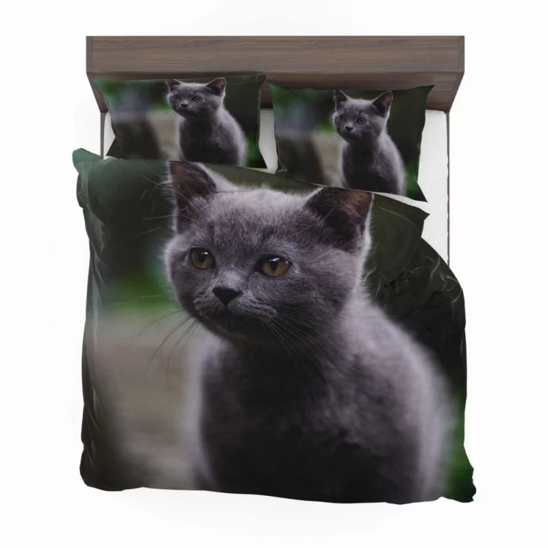 Cat Depth of Field Bedding Set 1