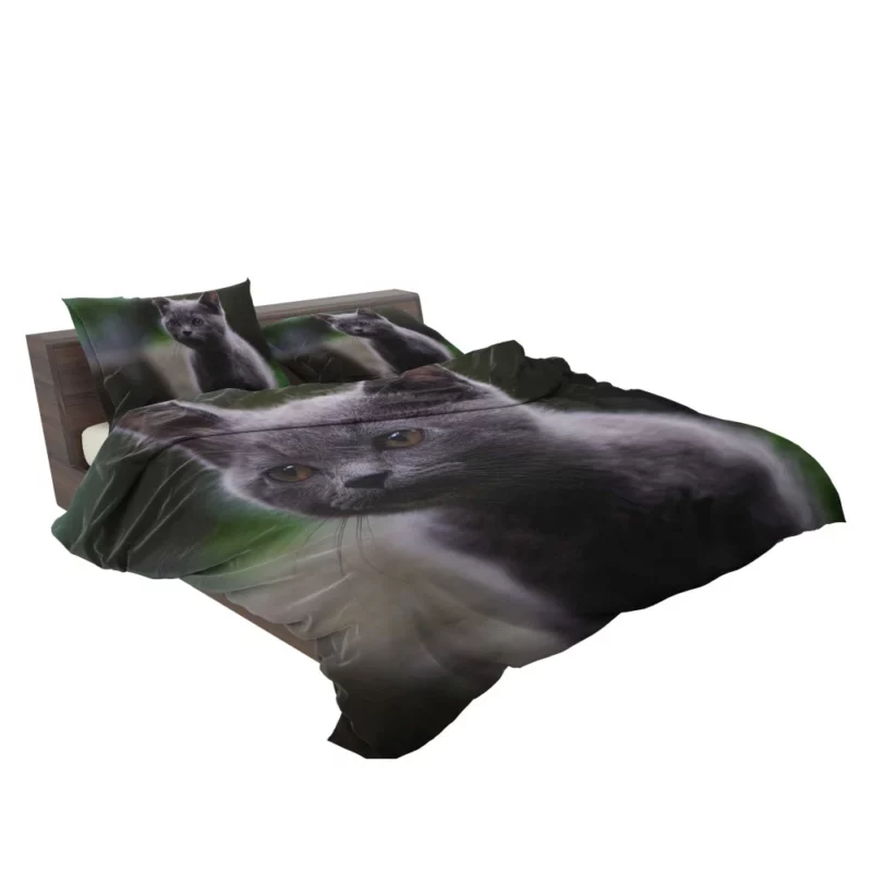 Cat Depth of Field Bedding Set 2