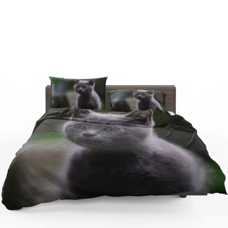 Cat Depth of Field Bedding Set