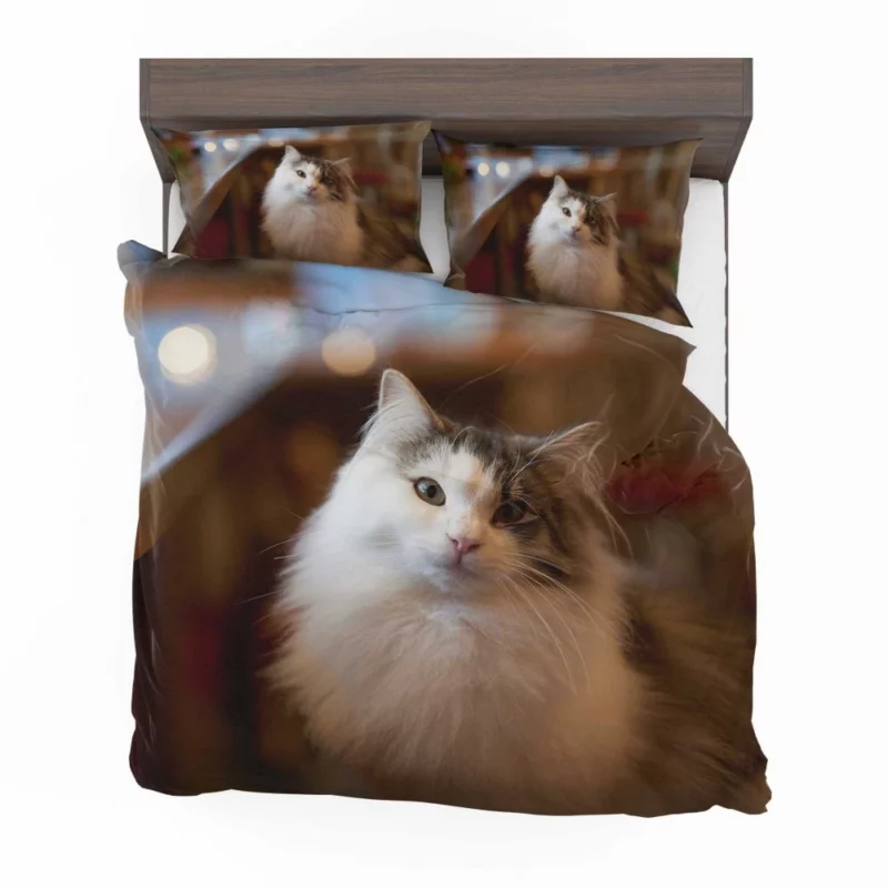 Cat Depth of Field Elegance Bedding Set 1