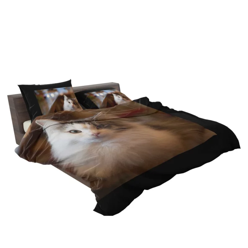 Cat Depth of Field Elegance Bedding Set 2