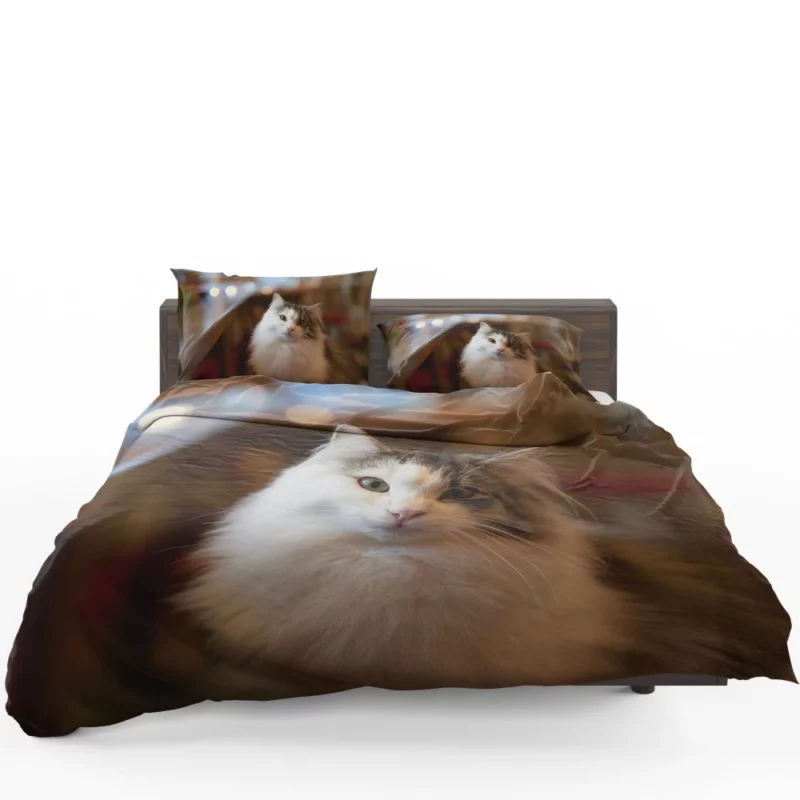 Cat Depth of Field Elegance Bedding Set