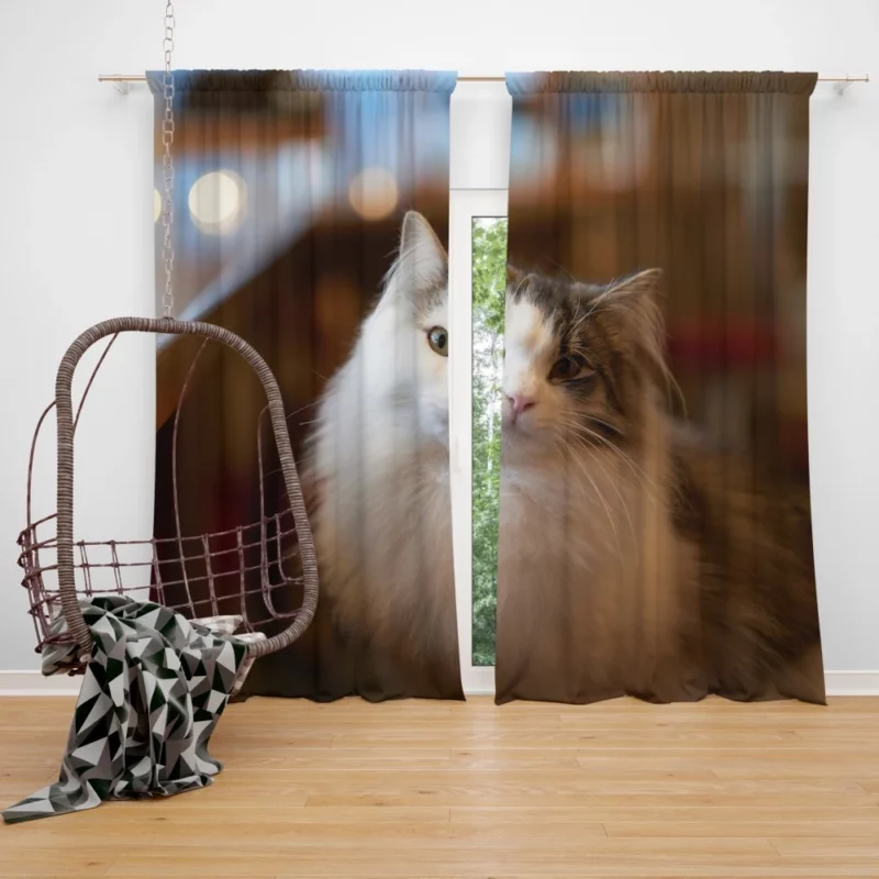 Cat Depth of Field Elegance Curtain