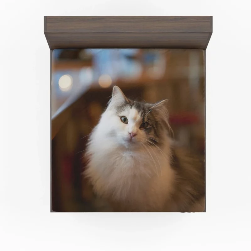 Cat Depth of Field Elegance Fitted Sheet 1