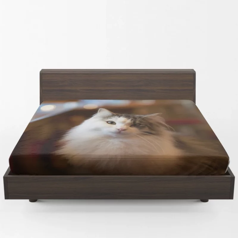 Cat Depth of Field Elegance Fitted Sheet