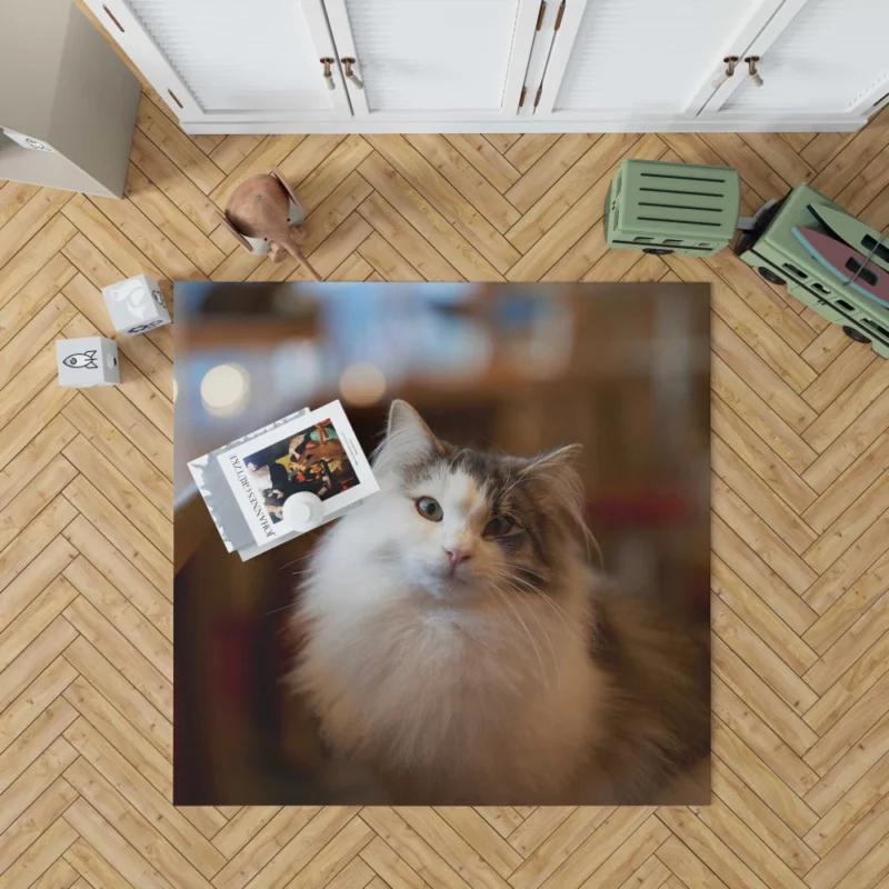 Cat Depth of Field Elegance Rug