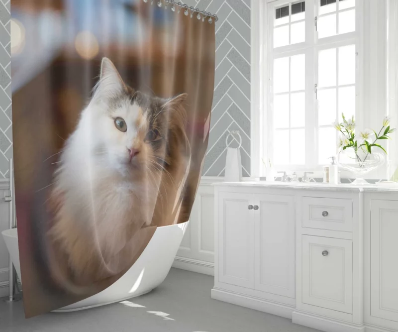 Cat Depth of Field Elegance Shower Curtain 1