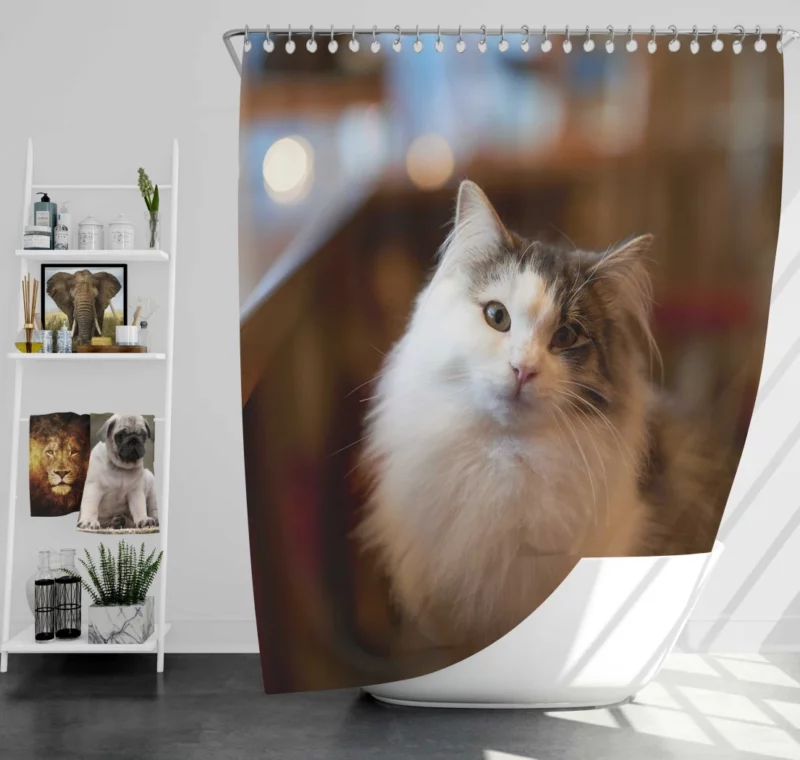 Cat Depth of Field Elegance Shower Curtain