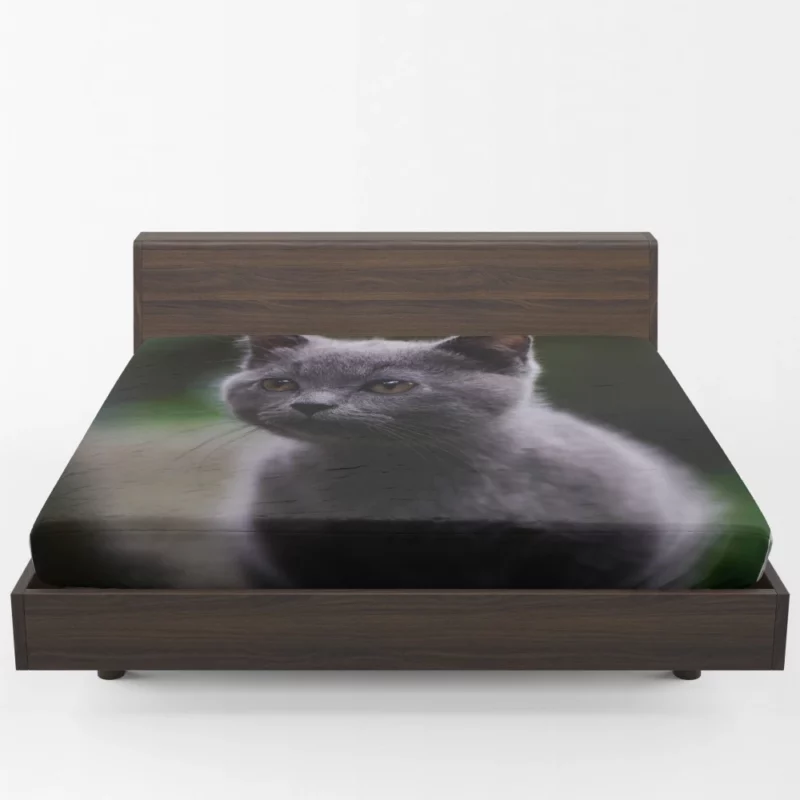 Cat Depth of Field Fitted Sheet