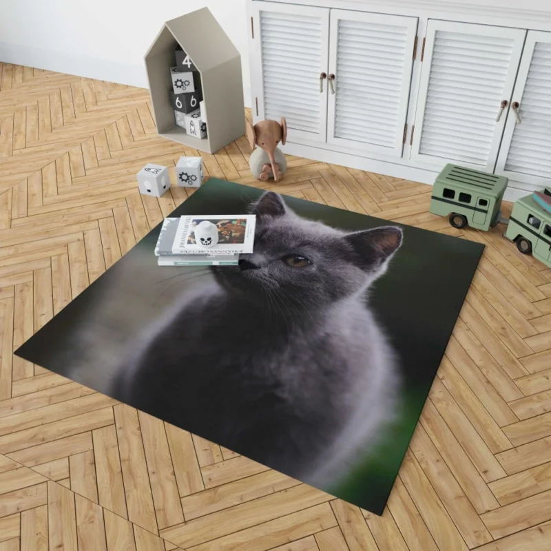 Cat Depth of Field Rug 1