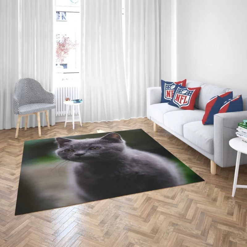 Cat Depth of Field Rug 2