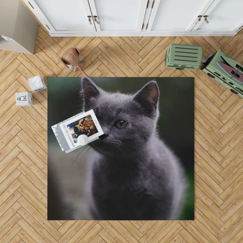 Cat Depth of Field Rug