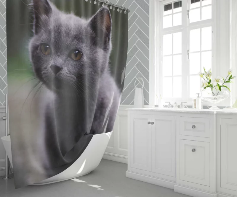 Cat Depth of Field Shower Curtain 1