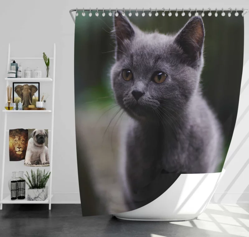 Cat Depth of Field Shower Curtain