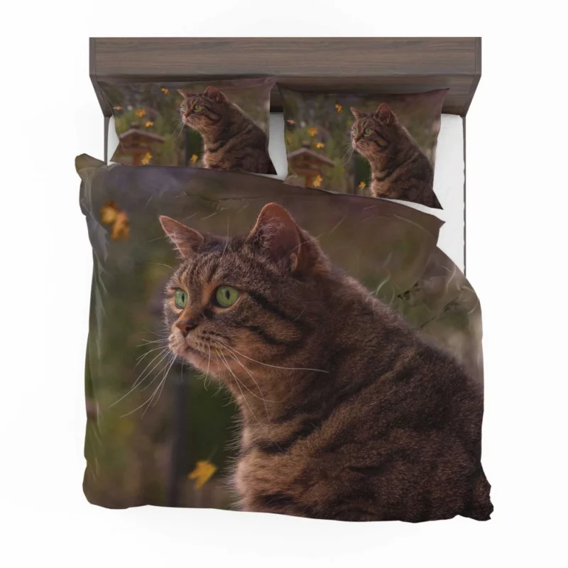 Cat Depth of Field Stare Feline Wonder Bedding Set 1