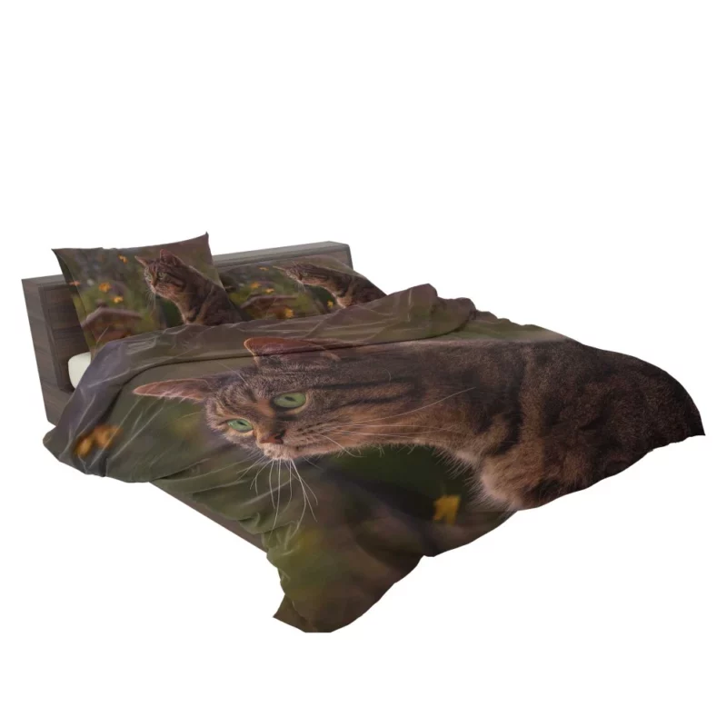 Cat Depth of Field Stare Feline Wonder Bedding Set 2