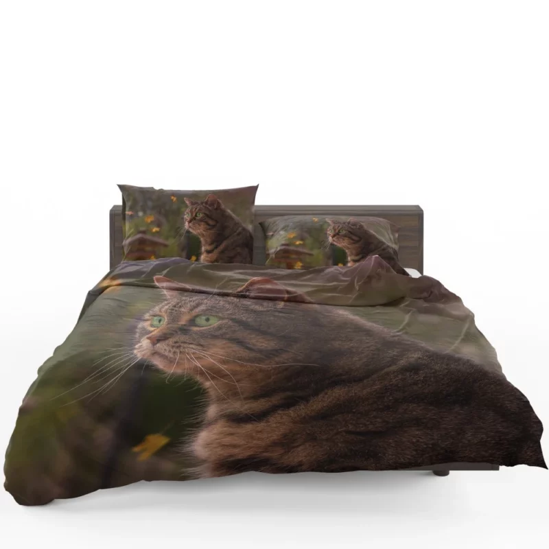 Cat Depth of Field Stare Feline Wonder Bedding Set