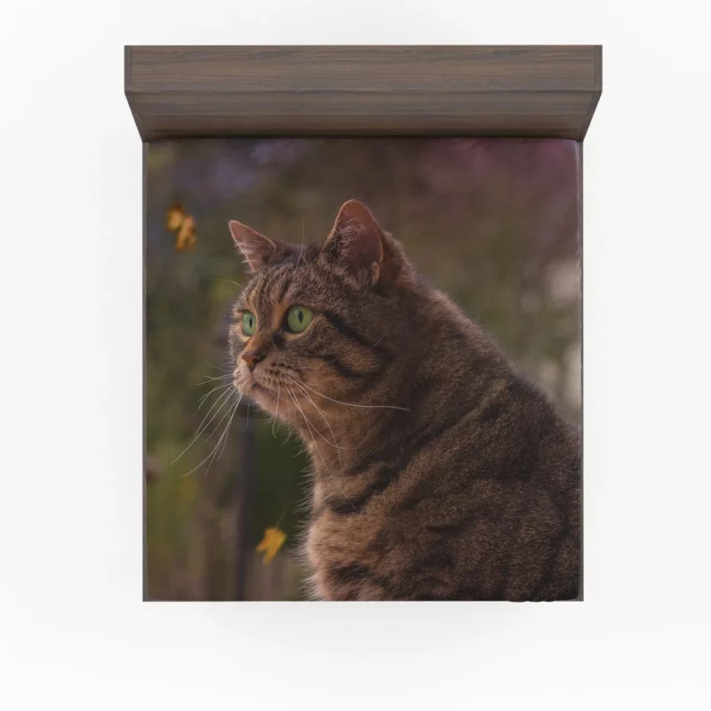 Cat Depth of Field Stare Feline Wonder Fitted Sheet 1