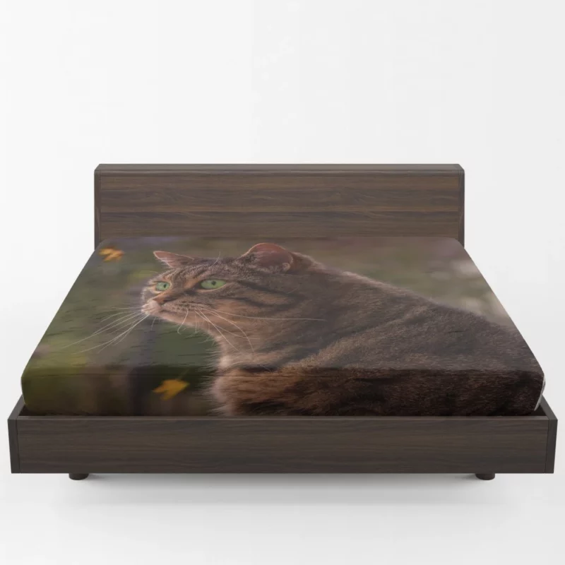 Cat Depth of Field Stare Feline Wonder Fitted Sheet