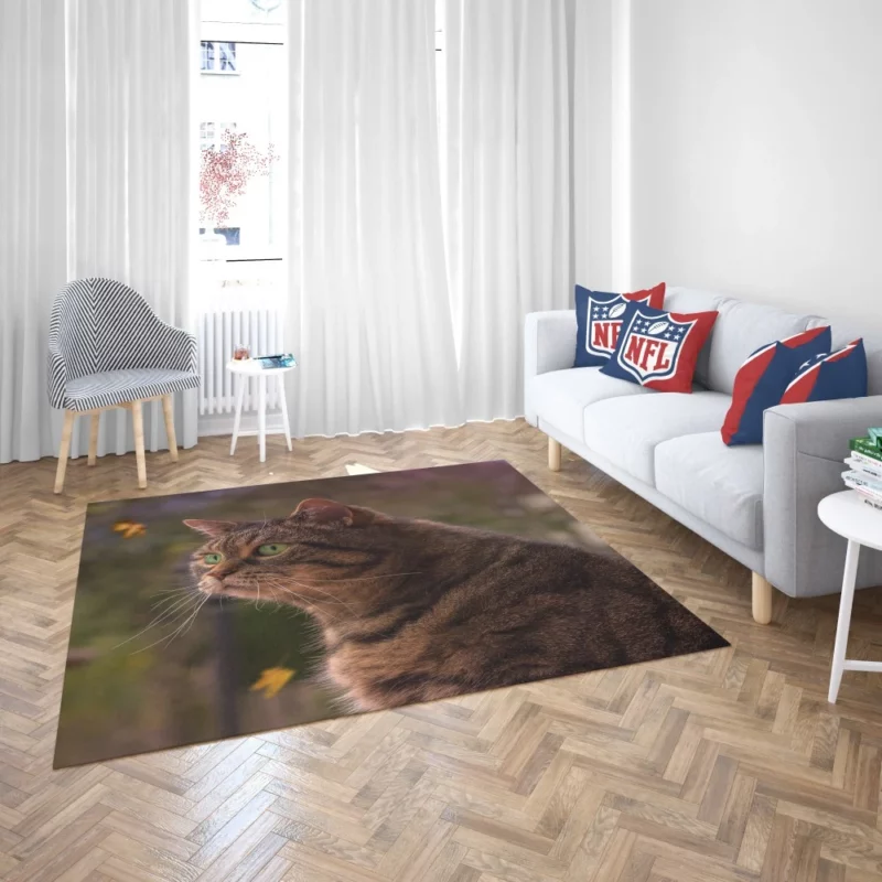 Cat Depth of Field Stare Feline Wonder Rug 2