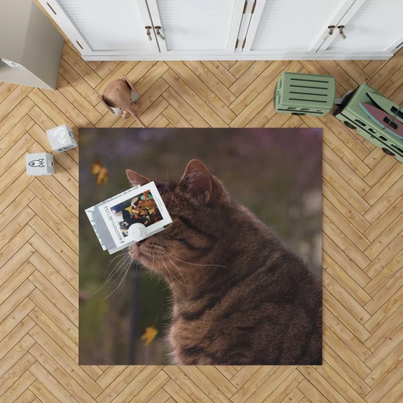 Cat Depth of Field Stare Feline Wonder Rug