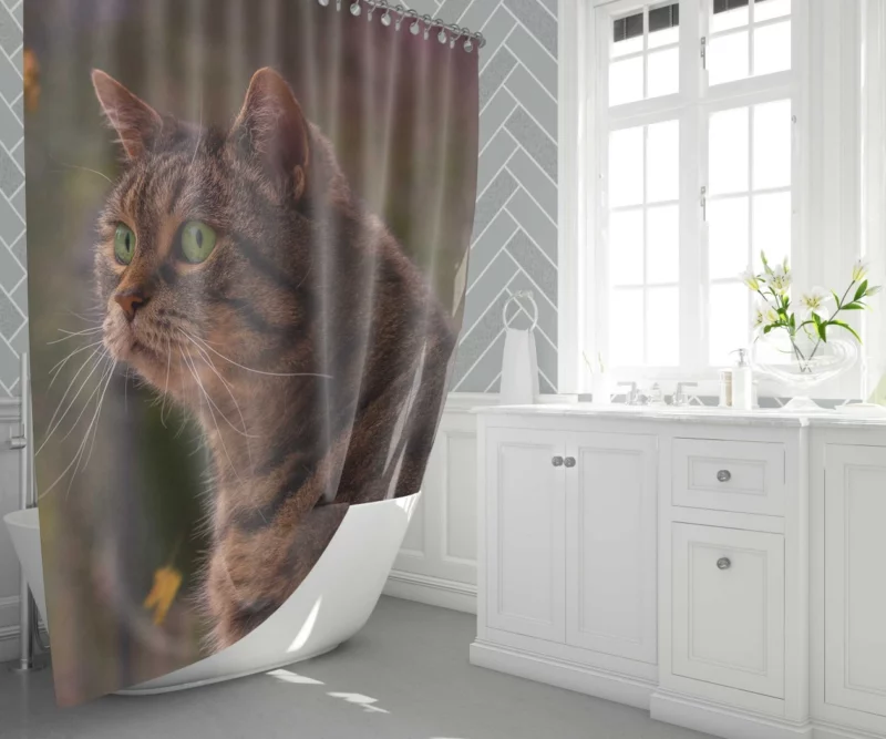 Cat Depth of Field Stare Feline Wonder Shower Curtain 1