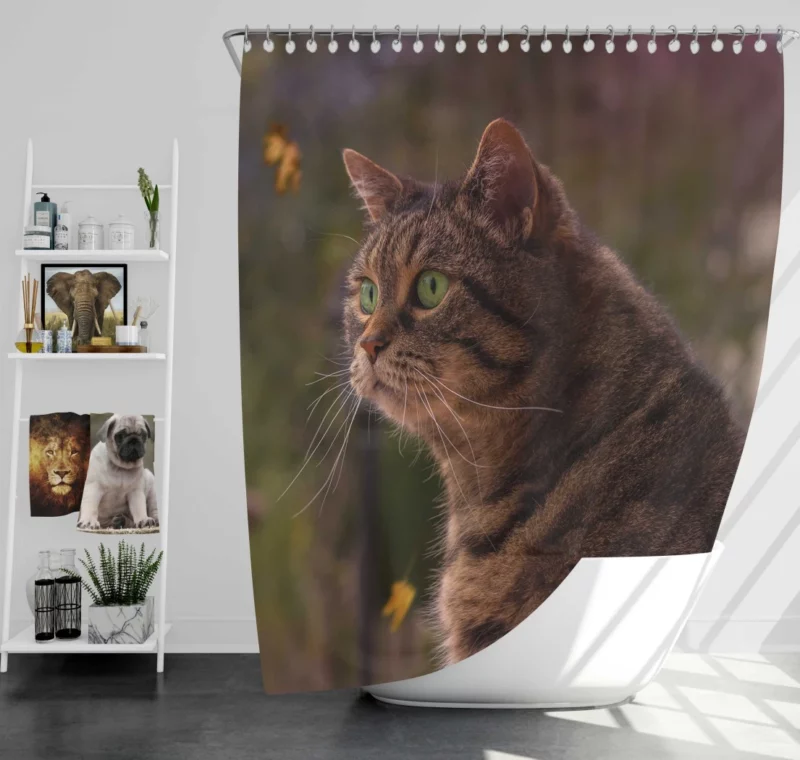 Cat Depth of Field Stare Feline Wonder Shower Curtain