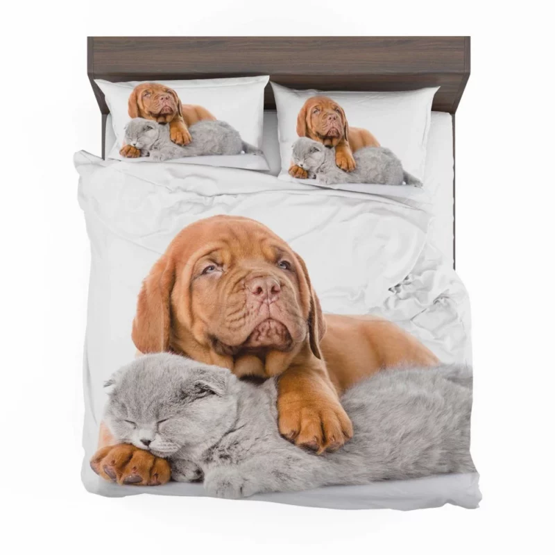 Cat & Dog Sweet Slumber Furry Companions Bedding Set 1