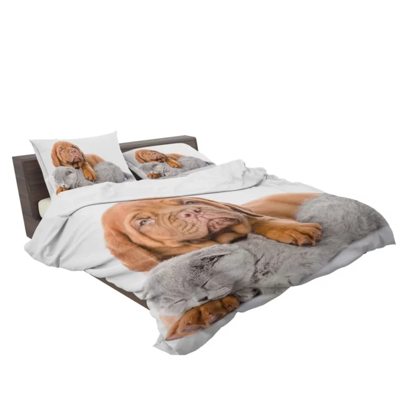 Cat & Dog Sweet Slumber Furry Companions Bedding Set 2