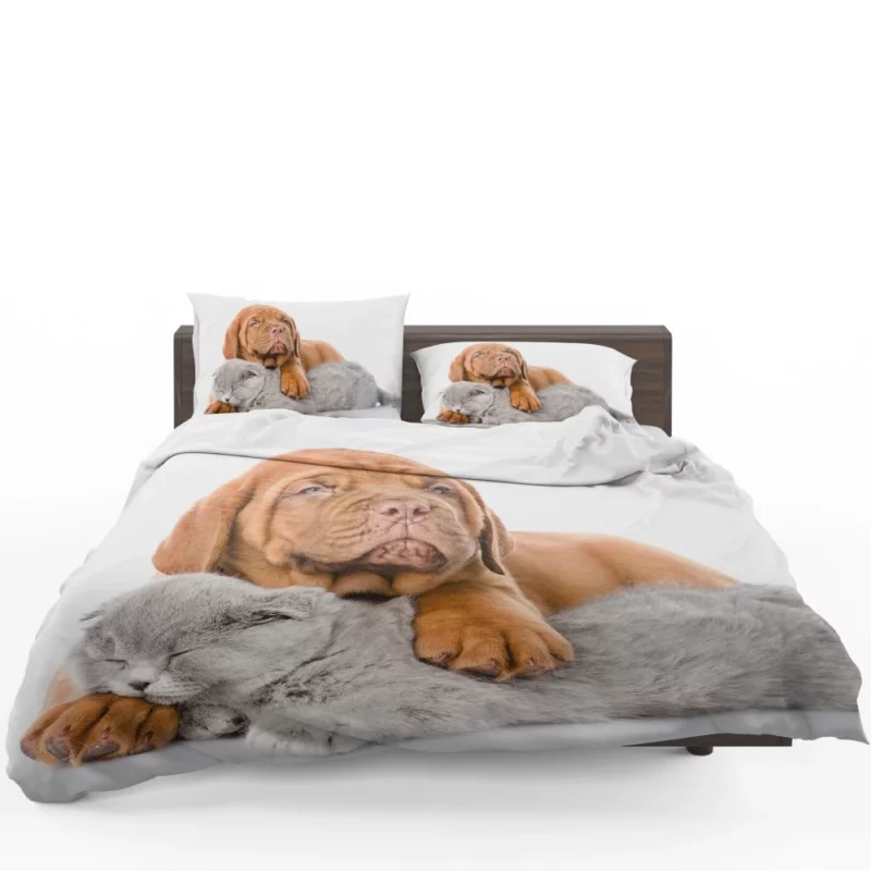 Cat & Dog Sweet Slumber Furry Companions Bedding Set