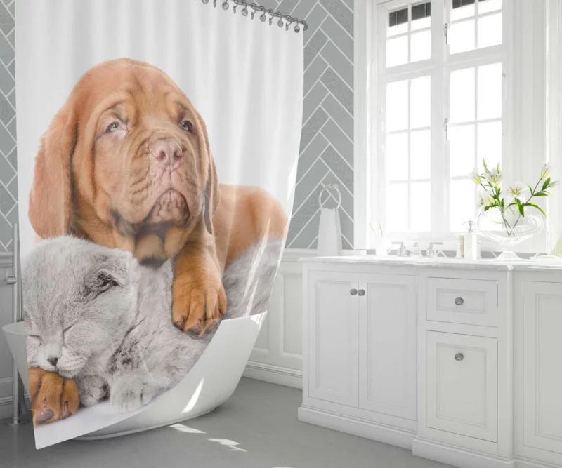 Cat & Dog Sweet Slumber Furry Companions Shower Curtain 1