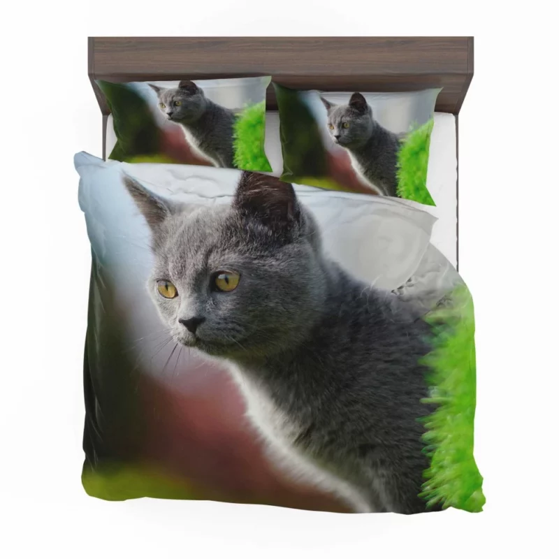 Cat Dreamy Gaze Bedding Set 1