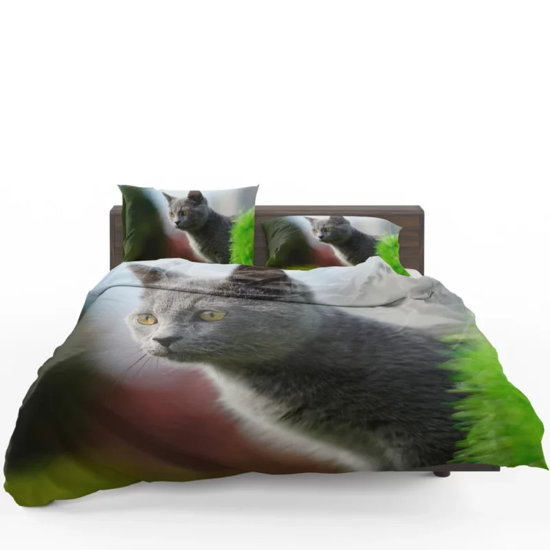 Cat Dreamy Gaze Bedding Set