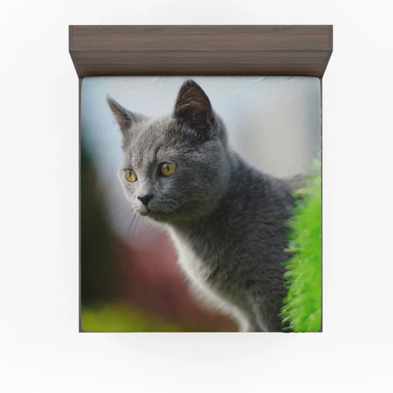 Cat Dreamy Gaze Fitted Sheet 1