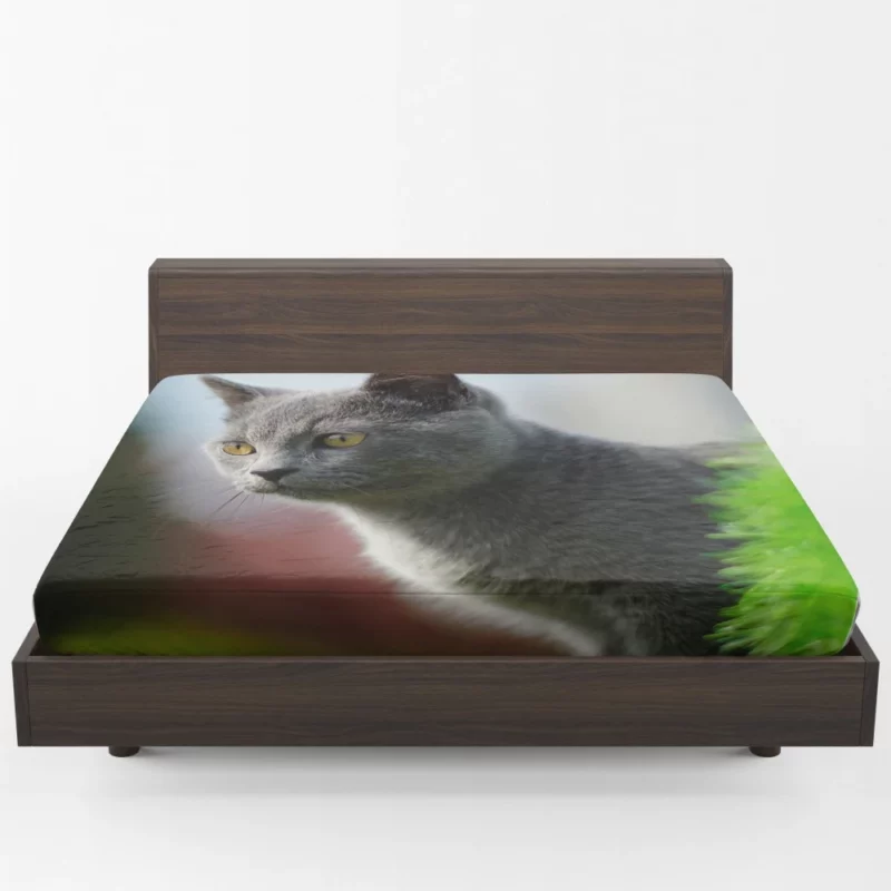 Cat Dreamy Gaze Fitted Sheet