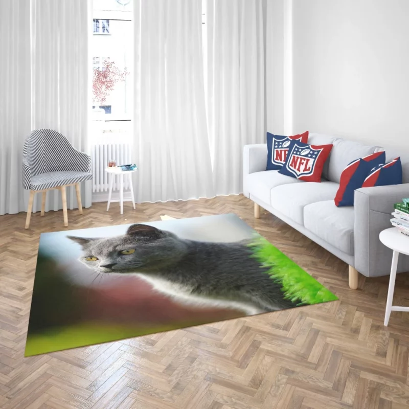 Cat Dreamy Gaze Rug 2