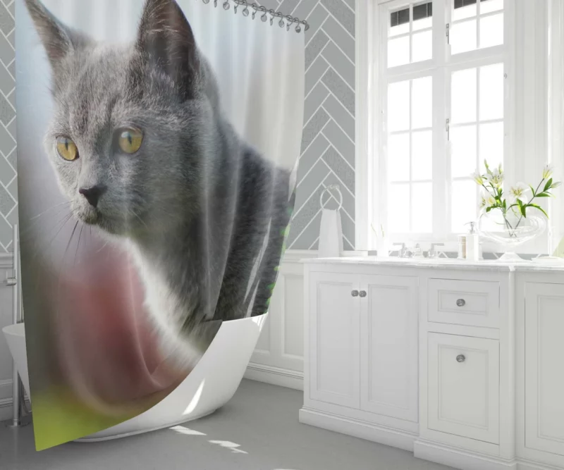 Cat Dreamy Gaze Shower Curtain 1