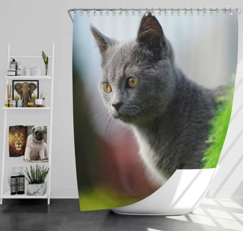 Cat Dreamy Gaze Shower Curtain