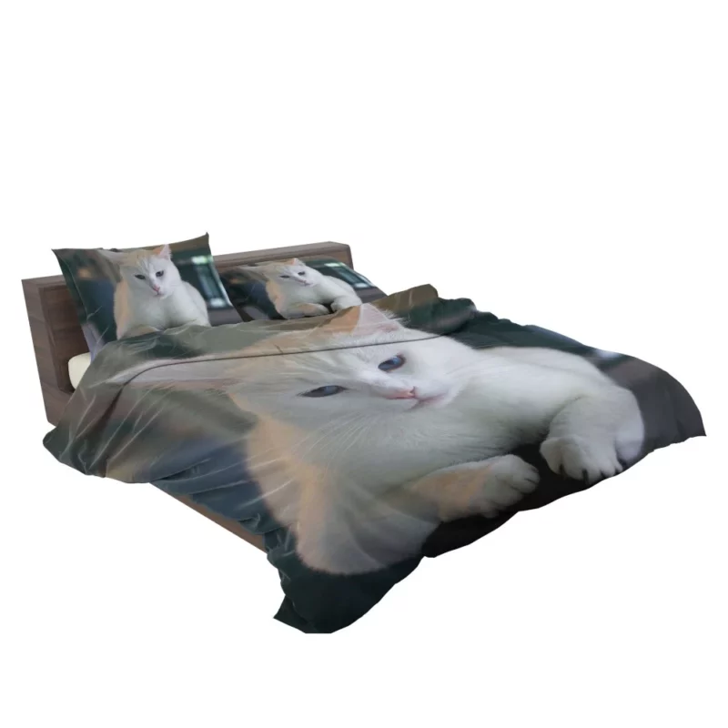 Cat Elegant Gaze Mysterious Allure Bedding Set 2