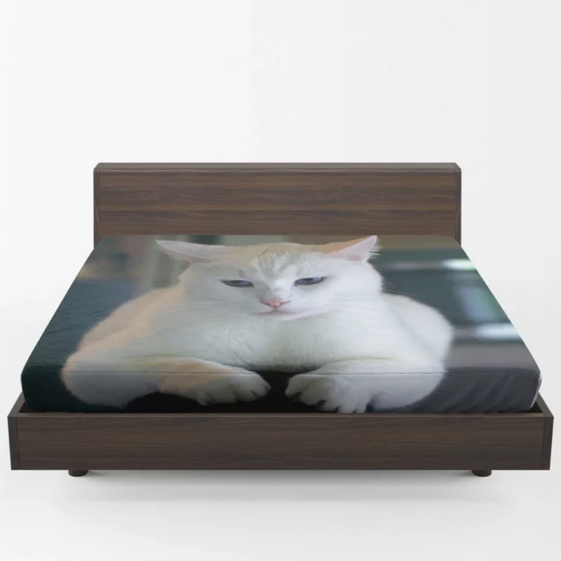 Cat Elegant Gaze Mysterious Allure Fitted Sheet