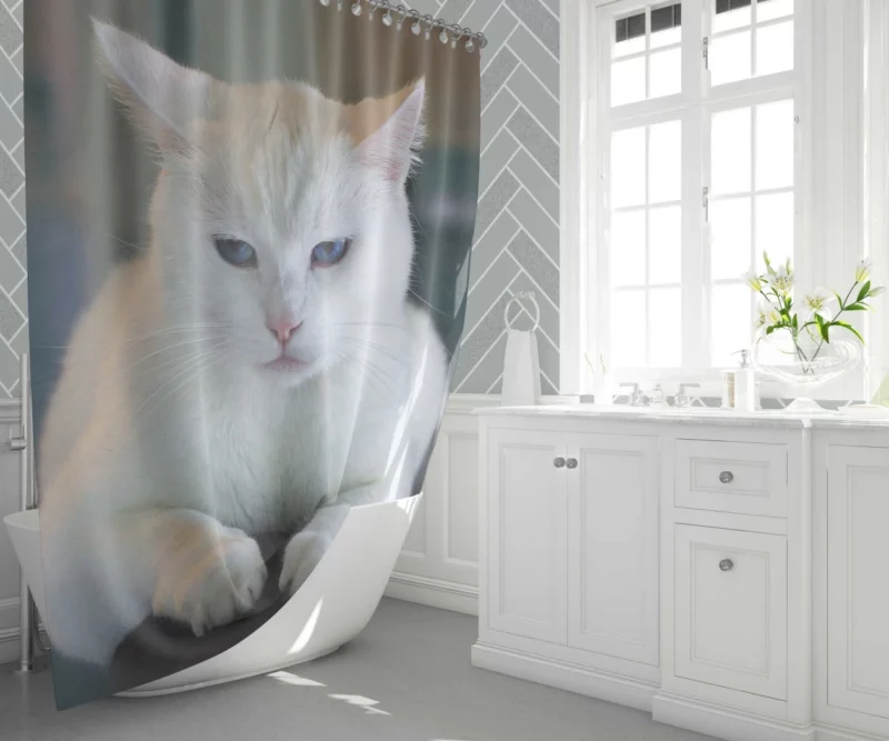 Cat Elegant Gaze Mysterious Allure Shower Curtain 1