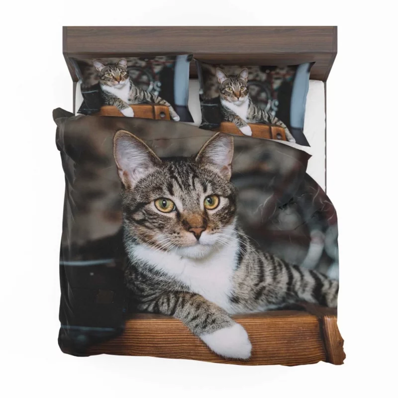 Cat Elegant Gaze Mysterious Charm Bedding Set 1