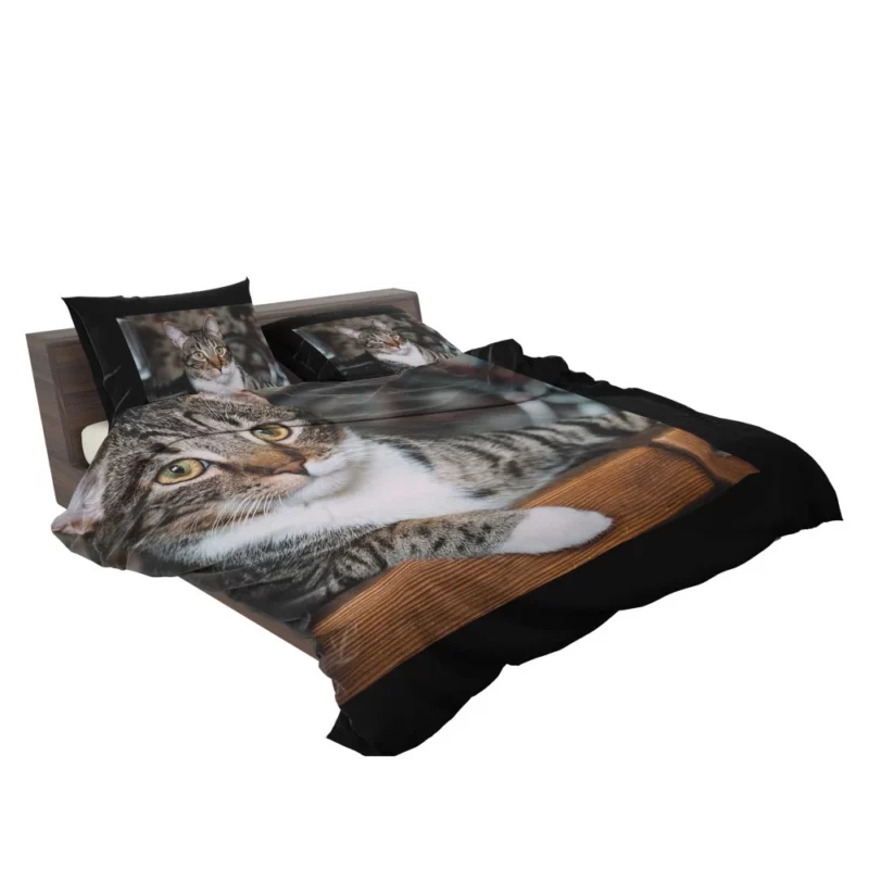 Cat Elegant Gaze Mysterious Charm Bedding Set 2