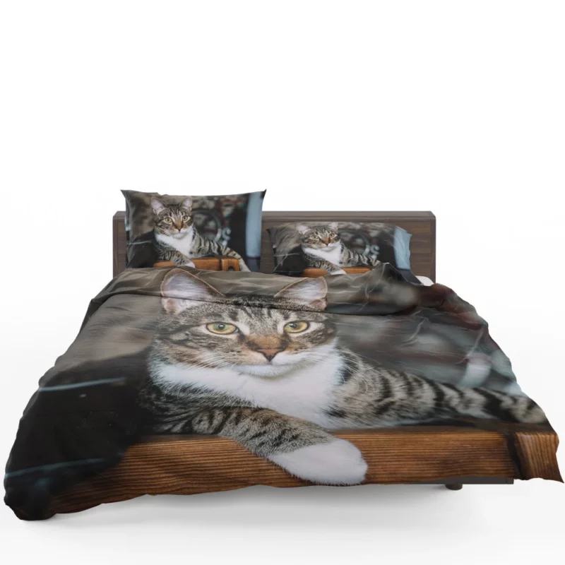 Cat Elegant Gaze Mysterious Charm Bedding Set