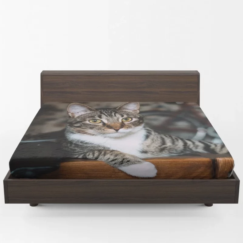 Cat Elegant Gaze Mysterious Charm Fitted Sheet