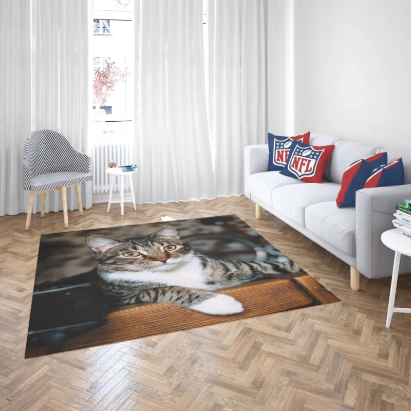 Cat Elegant Gaze Mysterious Charm Rug 2