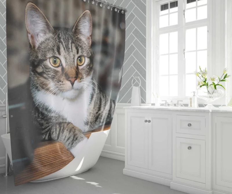 Cat Elegant Gaze Mysterious Charm Shower Curtain 1